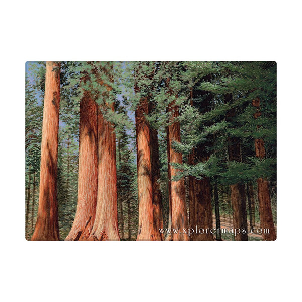 Yosemite Magnets