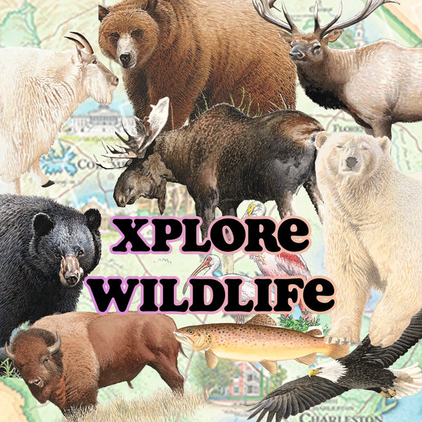 Xploring Wildlife: Animal Connections & Protecting Our Iconic Fauna,Xplorer Maps