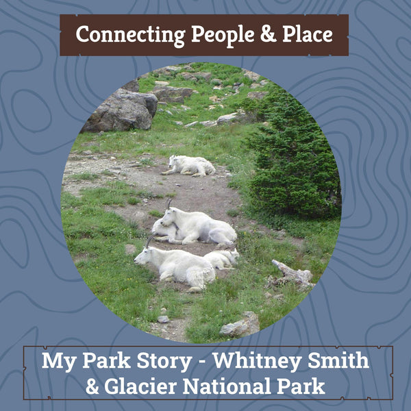 Xplorer Maps Blog - My Park Story - Whitney Smith & Glacier National Park with picture of mountain goats