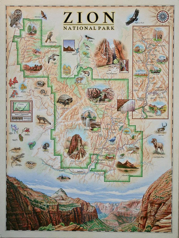 Xplorer Maps Releases Hand-Drawn Zion National Park Map - Xplorer Maps