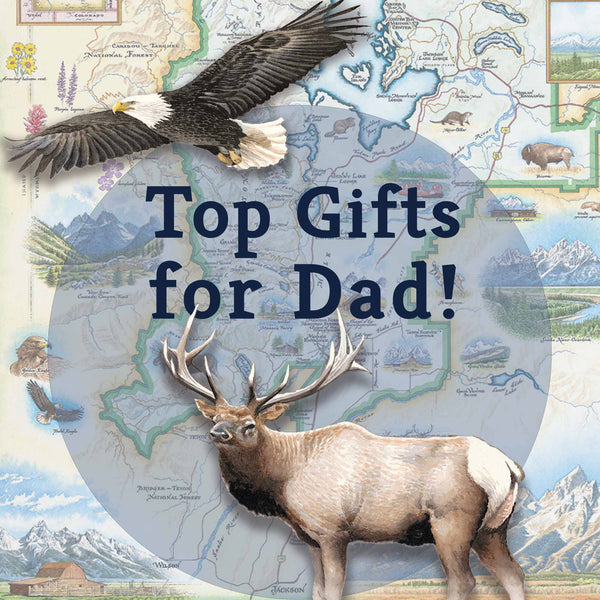 Father's Day Gifts