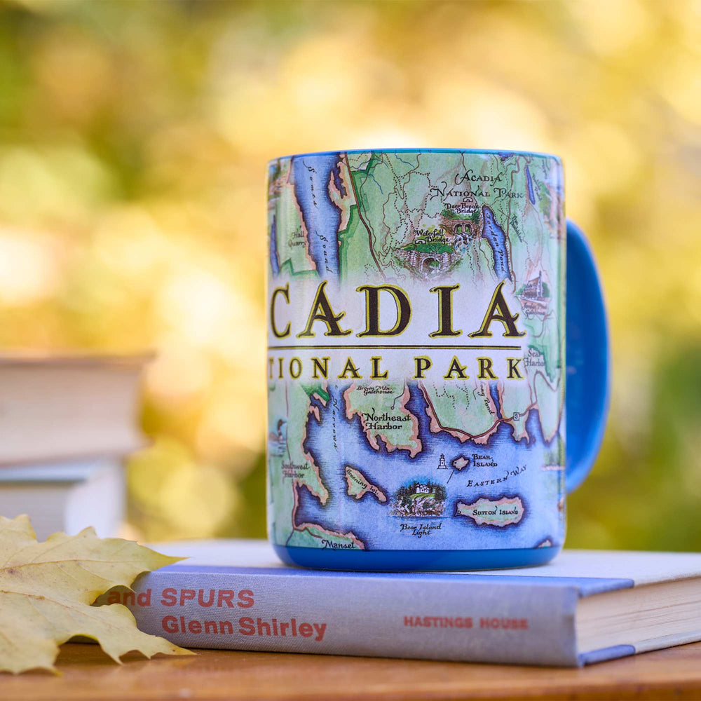 Mug with Acadia National Park design on a book against a blurred natural background