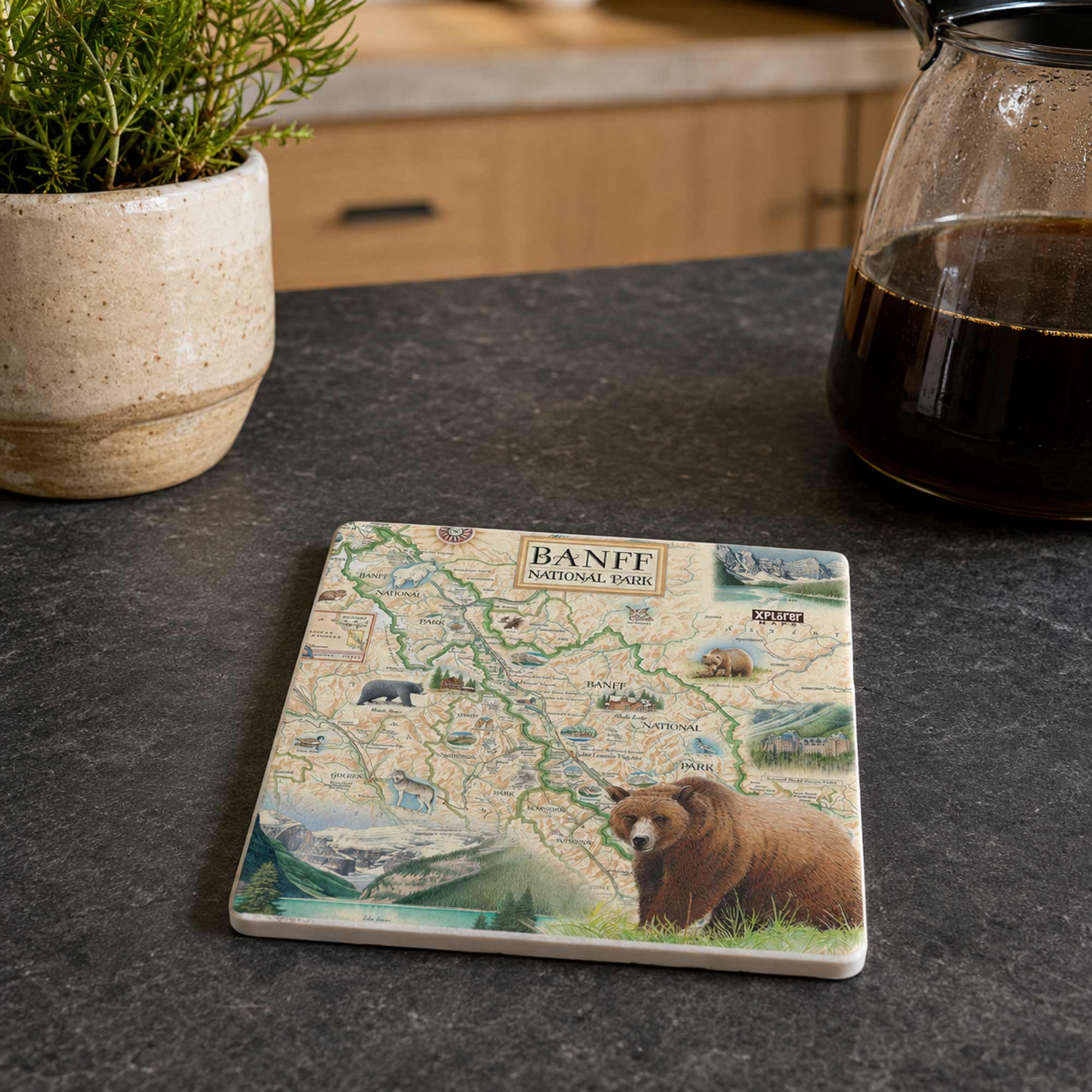 A square ceramic coastert featuring a Banff National Park map illustration with a brown bear and scenic details, resting on a dark countertop next to a potted plant and a glass coffee pot.