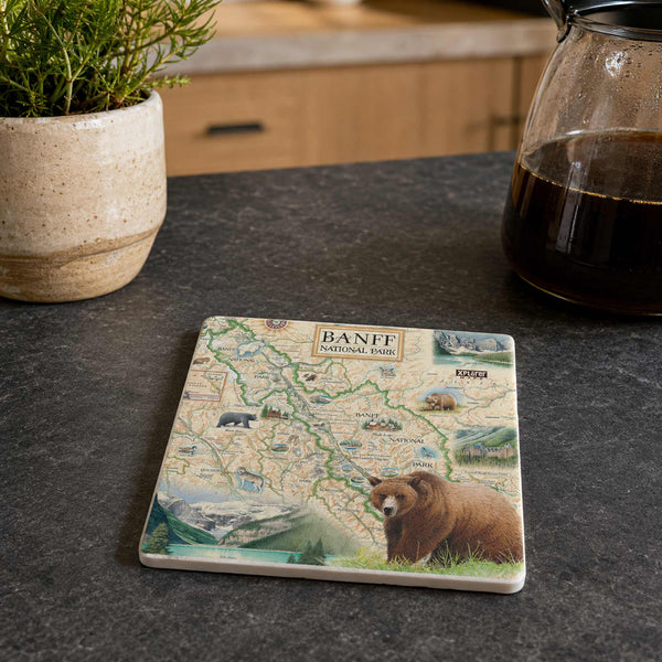 A square ceramic coastert featuring a Banff National Park map illustration with a brown bear and scenic details, resting on a dark countertop next to a potted plant and a glass coffee pot.