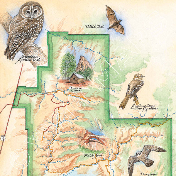 Birds Of Zion National Park - Original artwork by Chris Robitaille