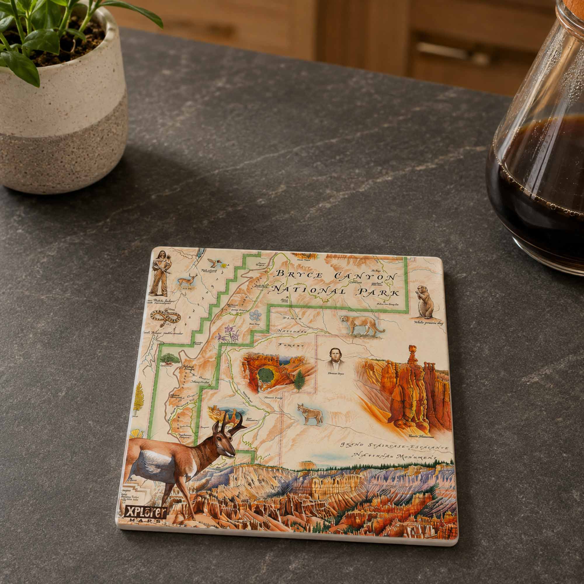 A square ceramic coaster featuring an illustrated map of Bryce Canyon National Park, displayed on a dark gray stone countertop next to a potted plant and a glass of coffee.