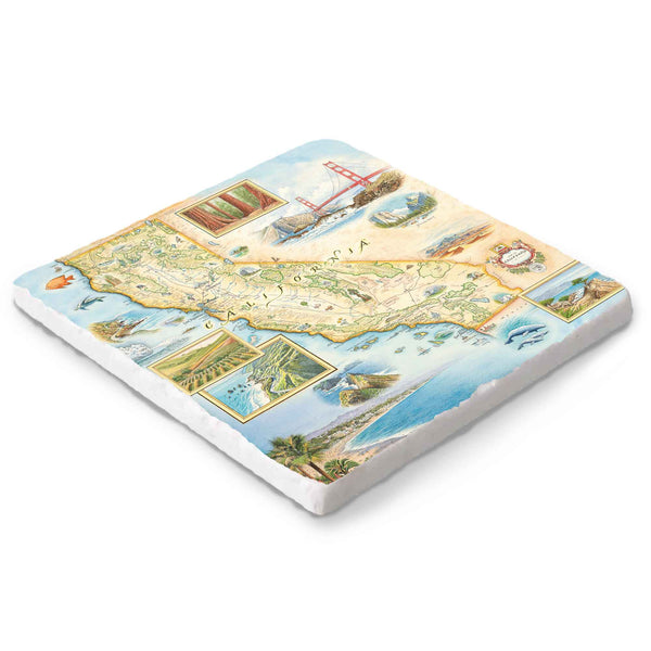 Hand-drawn California map on a 6x6 natural stone trivet by Xplorer Maps.