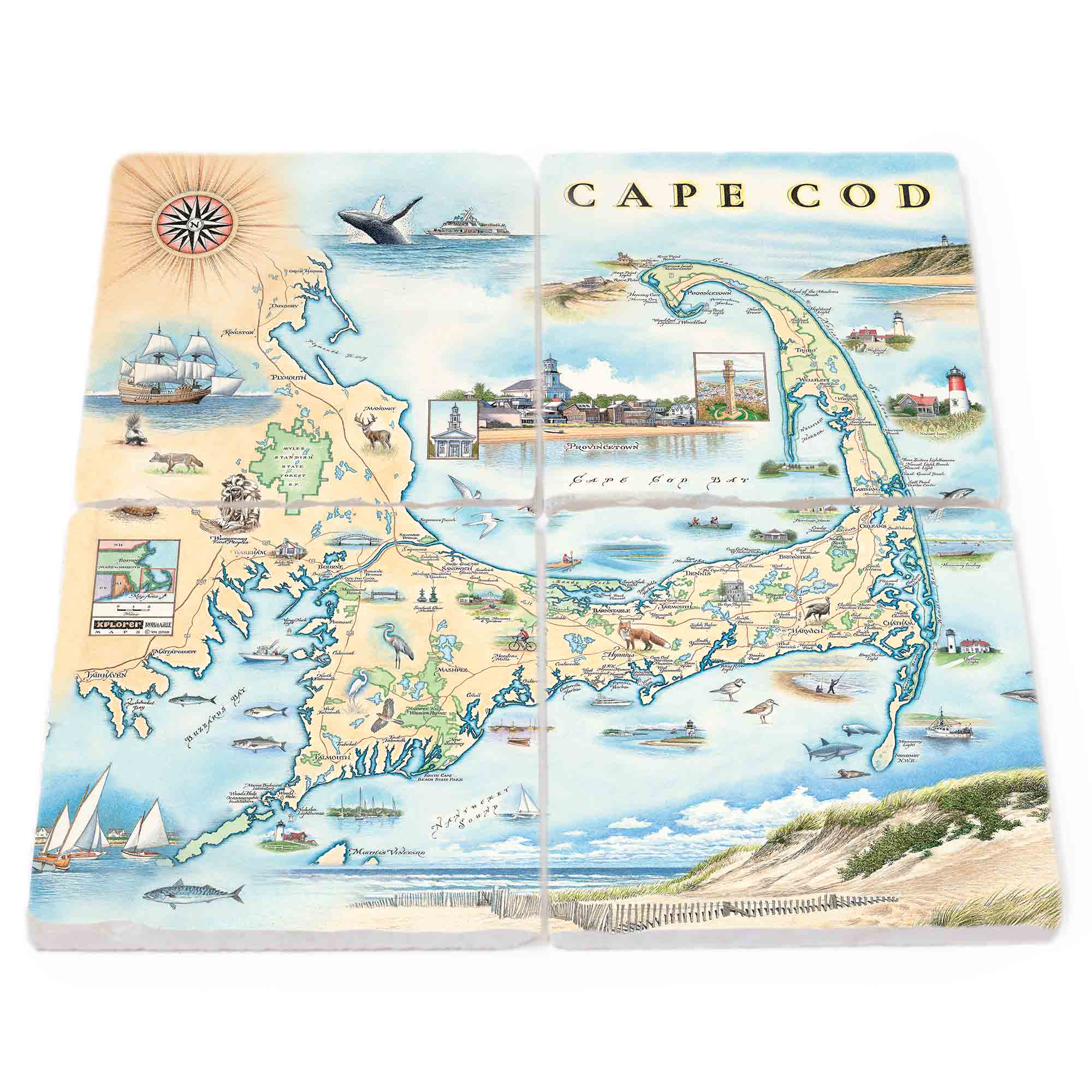 Natural Stone Coasters inspired by Cape Cod, Massachusetts. The design features a harmonious blend of blue, green, and tan colors, capturing the essence of the coastal region. Plymouth Rock, intricate sealife, charming lighthouses, and boats adorn the map, creating a picturesque and nautical ambiance.