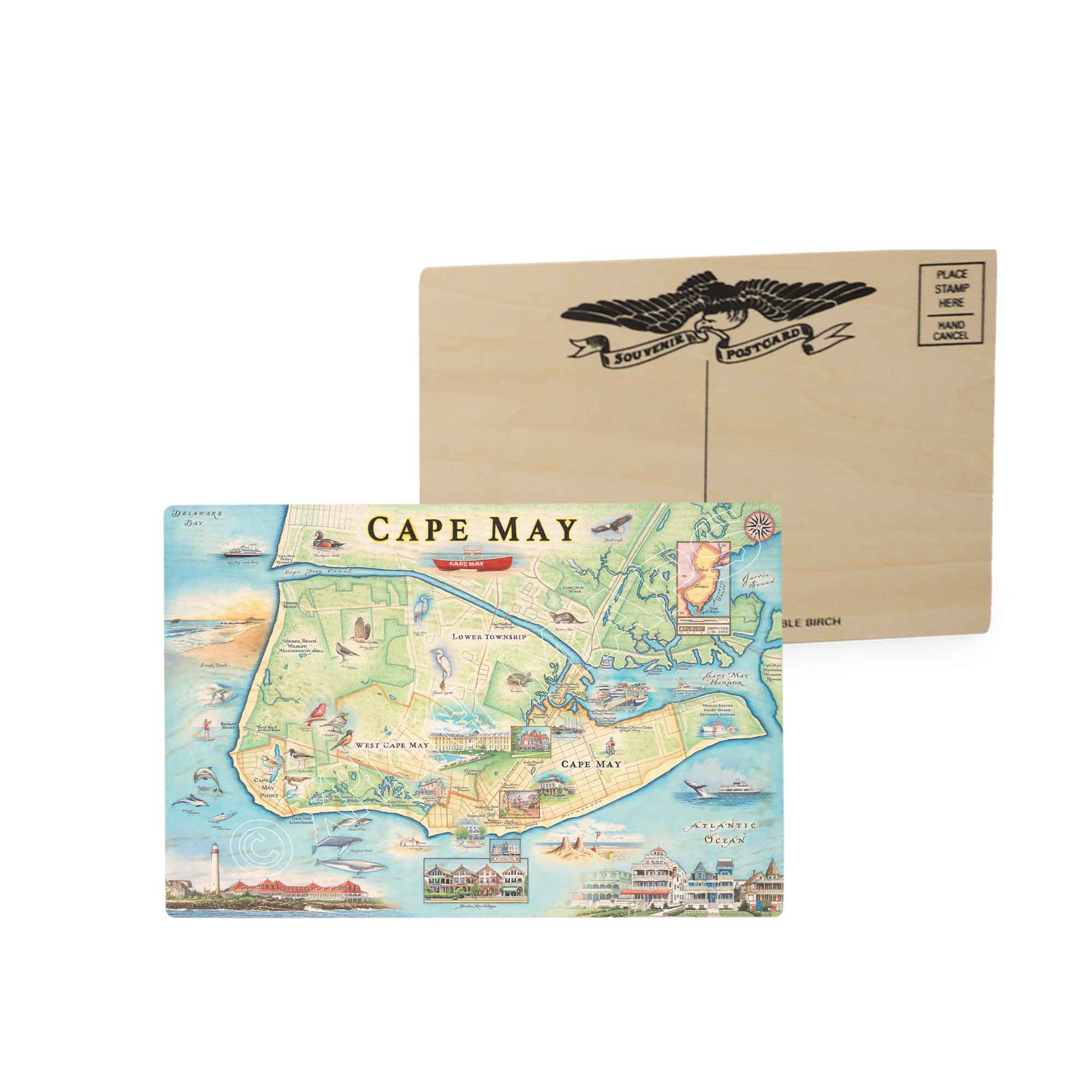 New Jersey's Cape May Map wooden postcard features heron and whale species. Map features Cape May, Lower Township, West Cape May, Cape May Harbor, Congress Hall, Washington St. Mall, and Cape May Bird Observatory. Postcards are in earth tone colors of blue and green. 