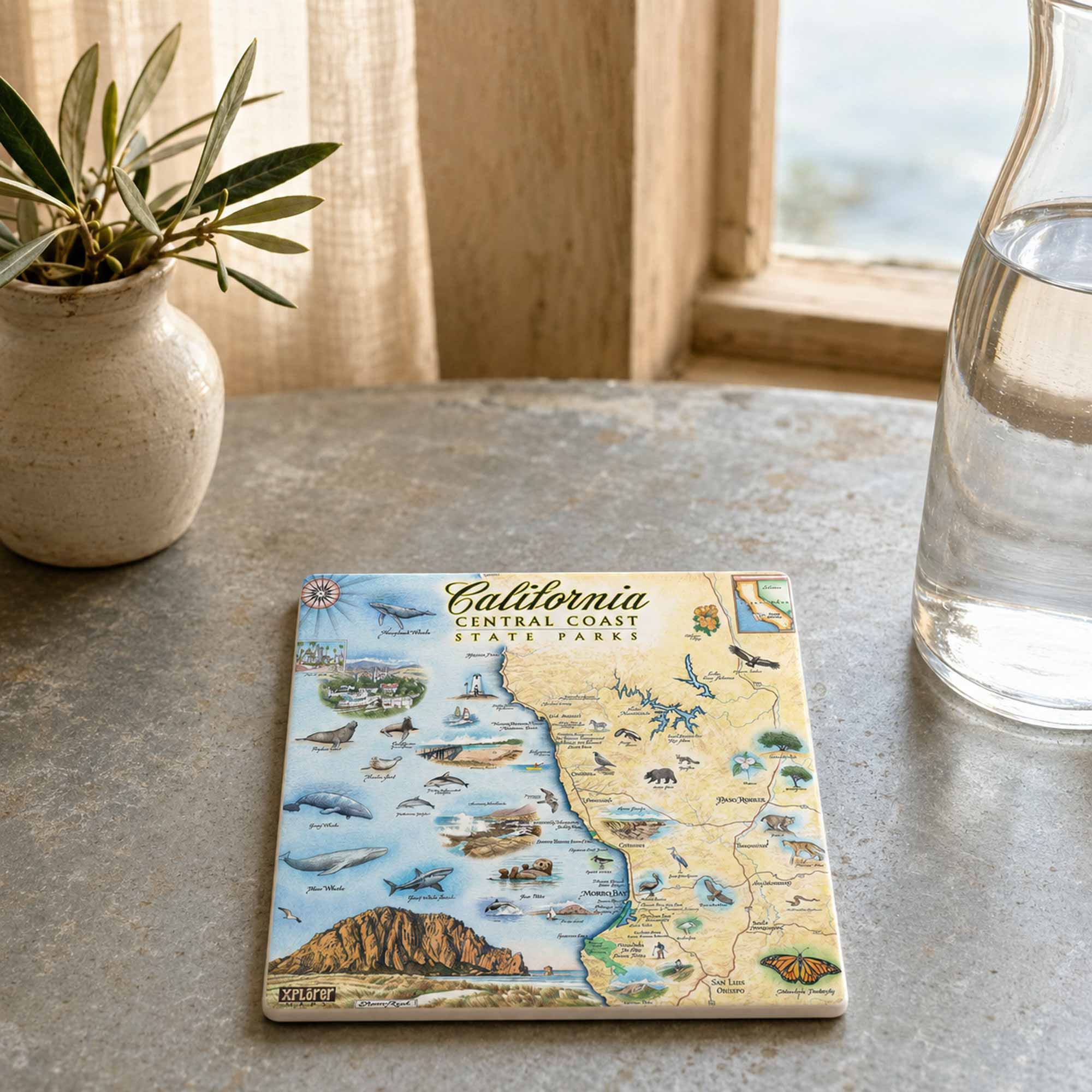 A square ceramic coaster featuring a colorful illustrated map of California's Central Coast State Parks, styled on a stone tabletop next to a potted plant and a glass carafe.