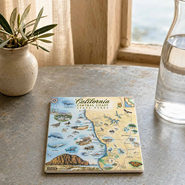 A square ceramic coaster featuring a colorful illustrated map of California's Central Coast State Parks, styled on a stone tabletop next to a potted plant and a glass carafe.