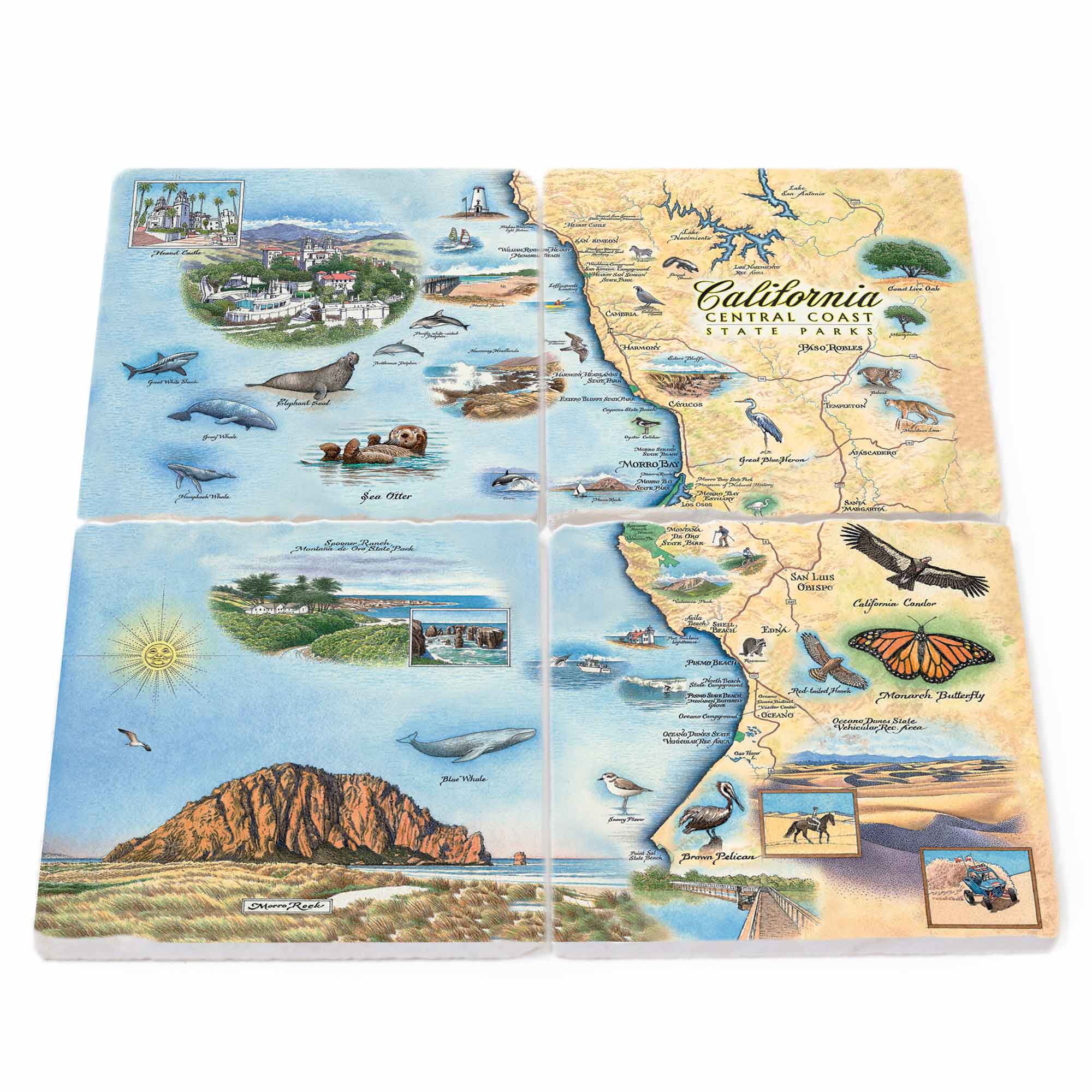 Image: Natural stone coasters made from Boccini Marble imported directly from Turkey, showcasing the map of California's Central Coast State Parks, with stunning coastal landscapes, diverse ecosystems, and scenic trails. Includes flora and fauna such as butterflies and ocean life.