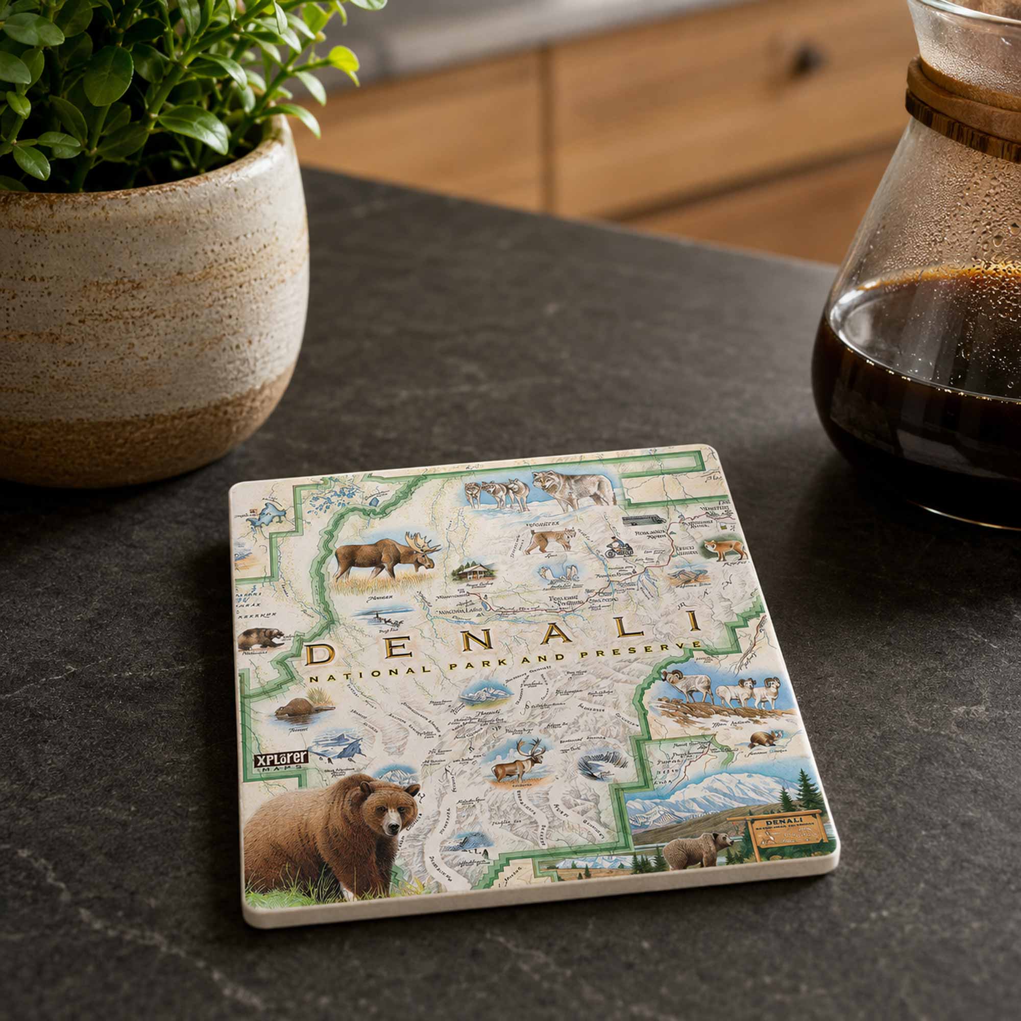 A square ceramic coaster featuring a detailed map of Denali National Park with illustrations of wildlife, including a grizzly bear, moose, and mountain scenes, displayed on a dark stone countertop next to a potted plant and a coffee maker.