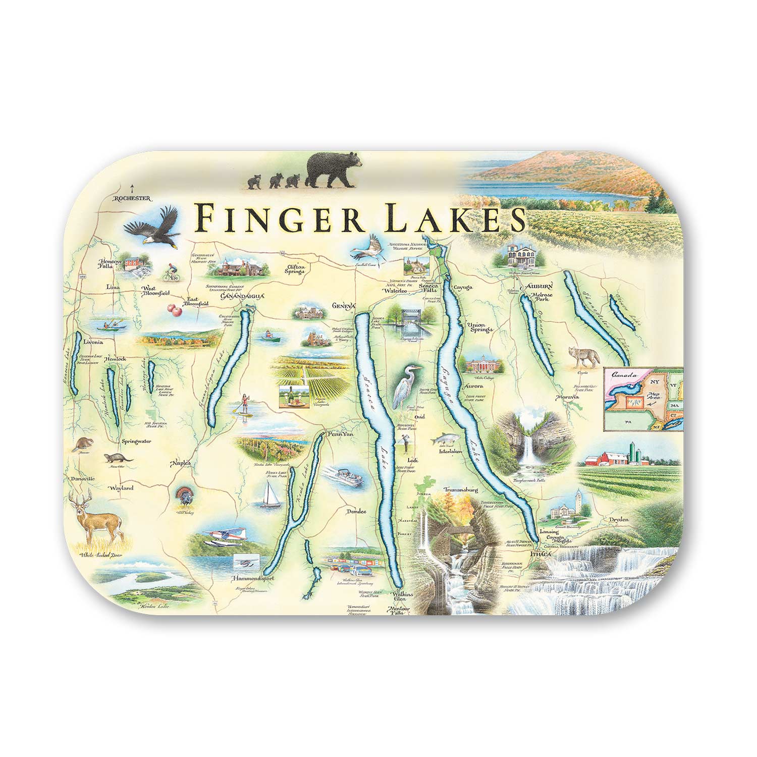 Medium Serving Tray Map of the Finger Lakes region with scenic illustrations on a white background