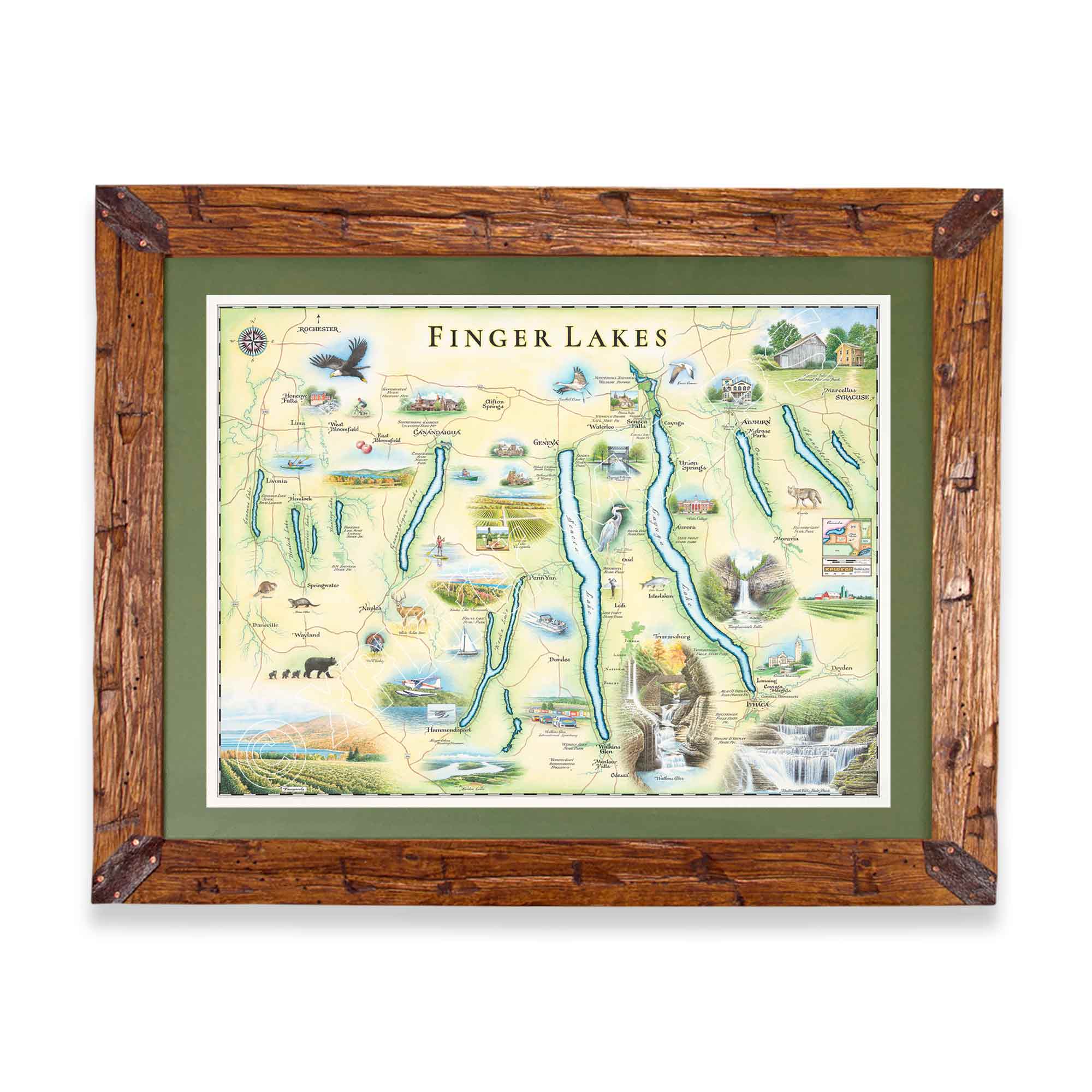 Finger Lakes hand drawn map in greens and blues. The map features Ithaca, Glen Watkins, Syracuse,  and Rochester.  Waterfalls, bald eagles, Deer and black bear are featured on the map. The map is frames in Montana scraped pine in a green mat.