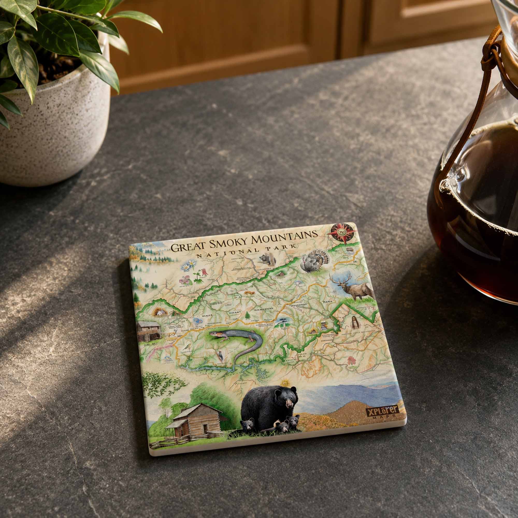 A square ceramic coaster featuring an illustrated map of Great Smoky Mountains National Park, displayed on a dark gray stone countertop next to a potted plant and a glass coffee carafe.