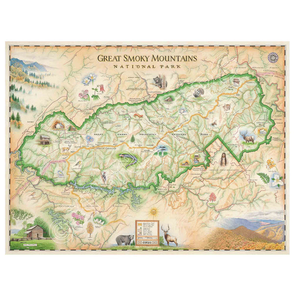 Great Smoky Mountains National Park hand-drawn map in earth tones colors beige and green. The map depicts the entire National Park on the border of North Carolina and Tennessee. It features illustrations of salamander, woodpecker, Clingman's Dome, Sugarland's Visitor Center, Oconoluftee Visitor Center. Measures 24x18."