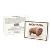 Montana Bison Blank Greeting Cards