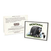 Montana Black Bear with Cubs Blank Greeting Cards