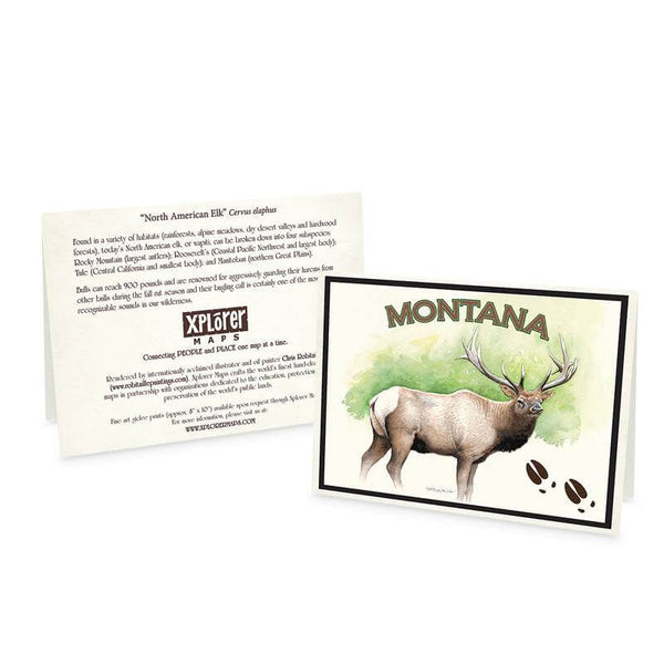 Montana Elk Blank Greeting Cards