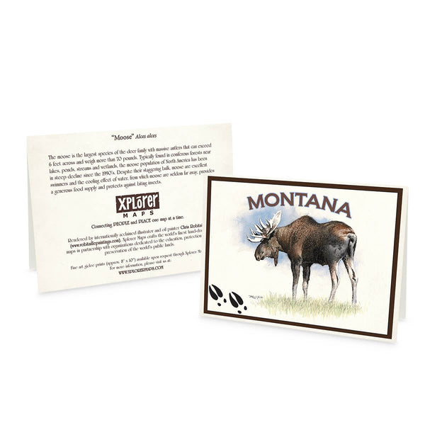 Montana Moose Blank Notecard