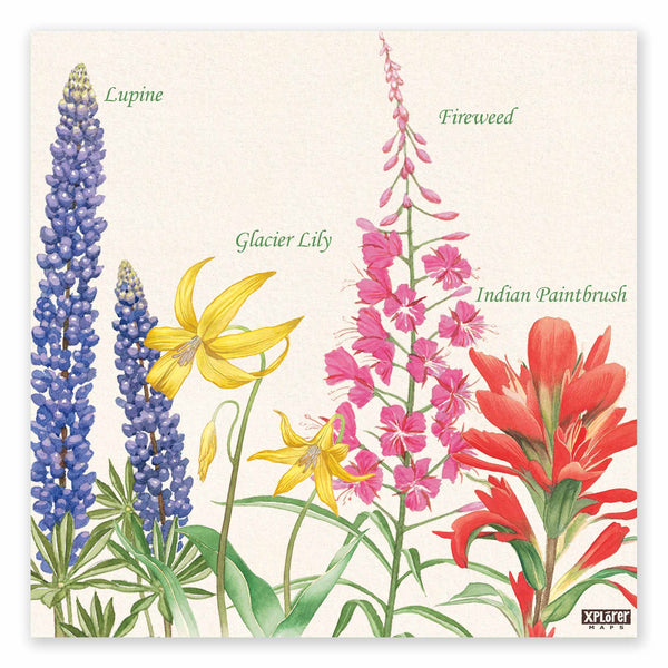 4"x4" Montana Wildflowers Ceramic Coaster by Xplorer Maps. The hand-drawn flowers are of a purple Lupine, yellow glacier Lily, pink fireweed, and a red Indian paintbrush. 