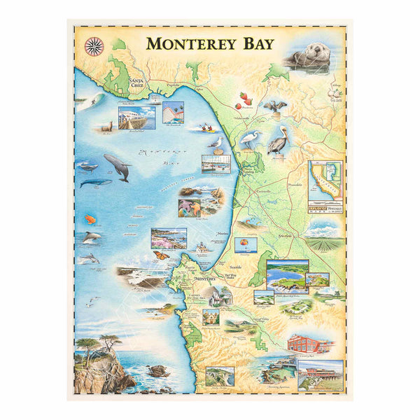 Monterey Bay Hand-Drawn Map