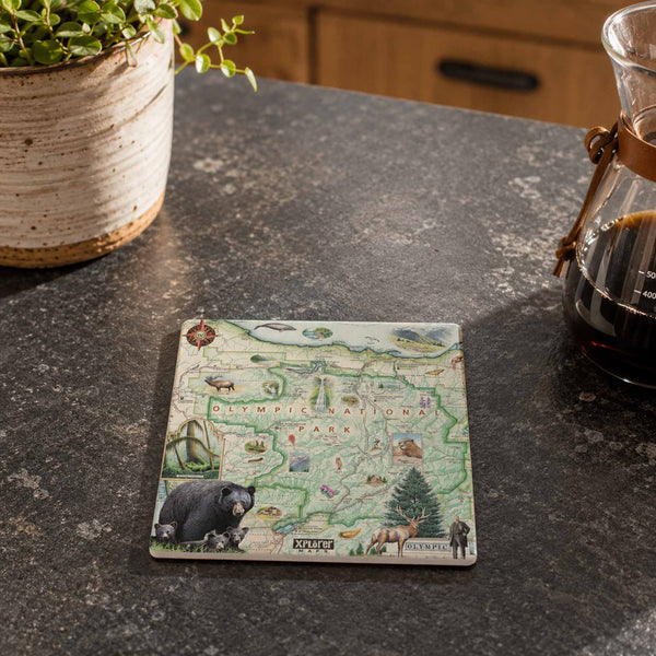A square ceramic coaster featuring a vintage-style map of Olympia, Washington with illustrations of local wildlife, including a black bear and deer, resting on a dark speckled kitchen countertop next to a potted plant and a coffee maker.