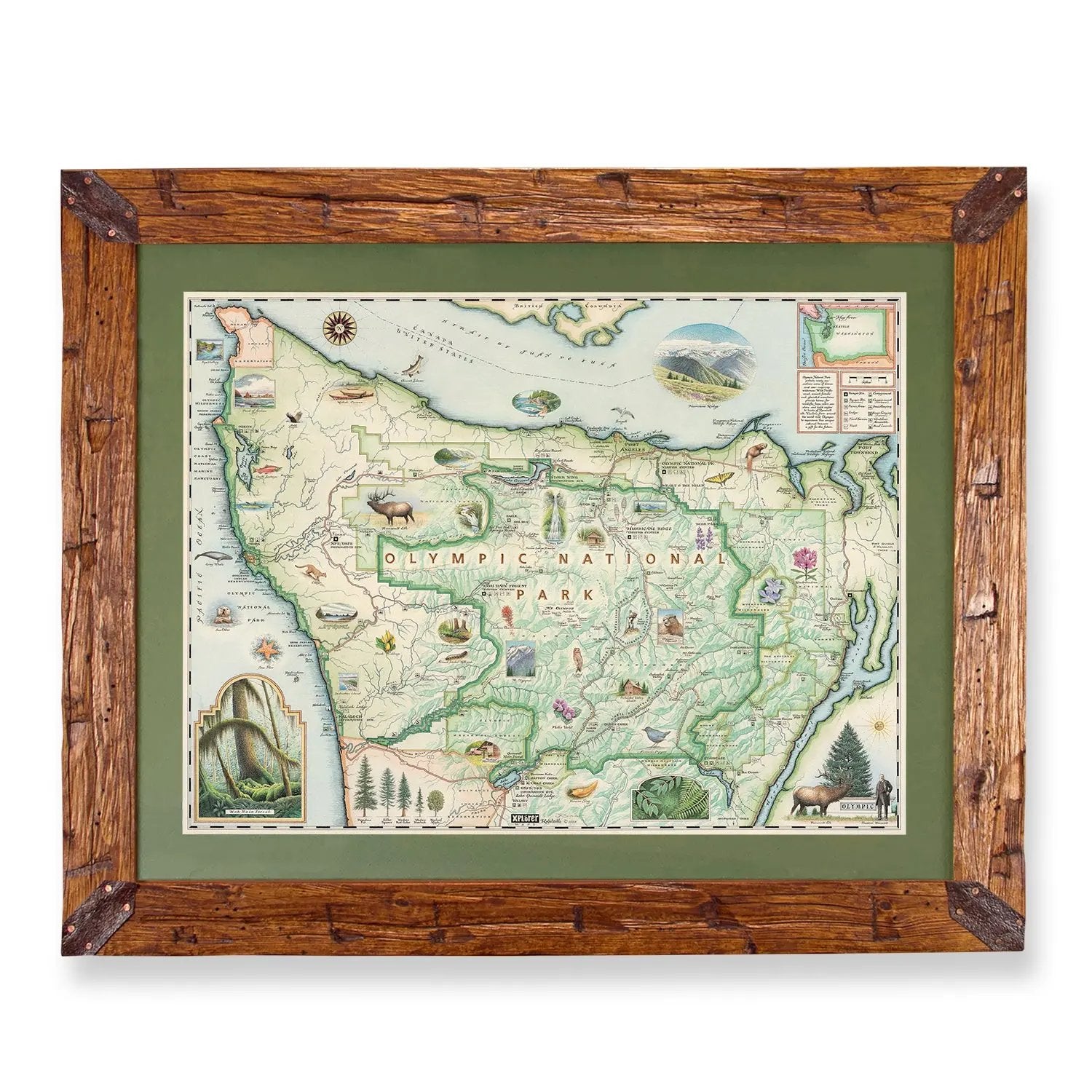 A framed vintage-style map of Olympic National Park, Washington, featuring a rustic brown wood frame with corner brackets and a green mat border.