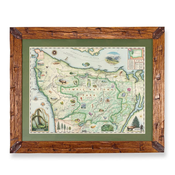 A framed vintage-style map of Olympic National Park, Washington, featuring a rustic brown wood frame with corner brackets and a green mat border.