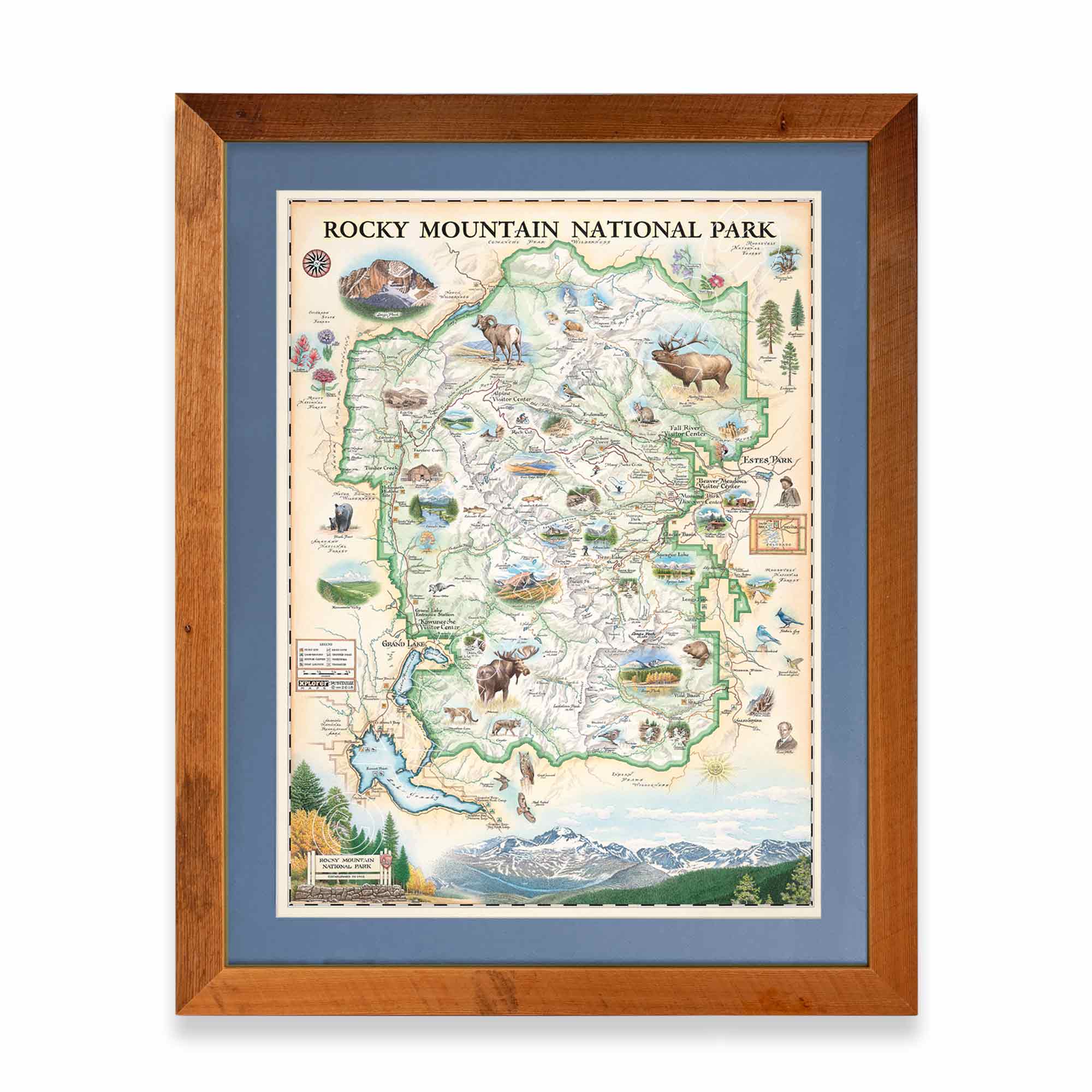 Hand-drawn map of Rocky Mountain National Park in a larch frame with blue mat, showcasing earth tones of green and beige. Illustrations feature landmarks such as Trail Ridge Road, Mount Ganby, Estes Park, and Alpine Visitor Center, alongside flora and fauna like bobcat, snowshoe hare, Indian paintbrush, and wild rose. Dimensions: 18x24 inches.