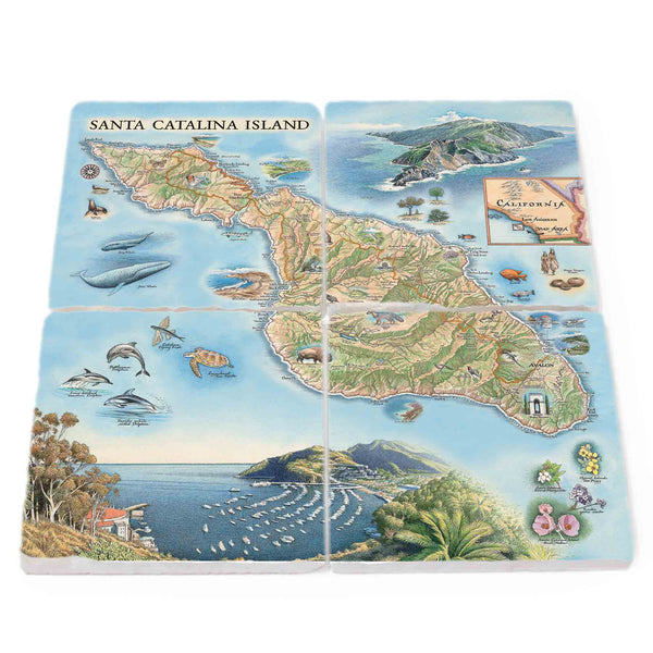 Santa Catalina Island Natural Stone Coasters - Set of 4