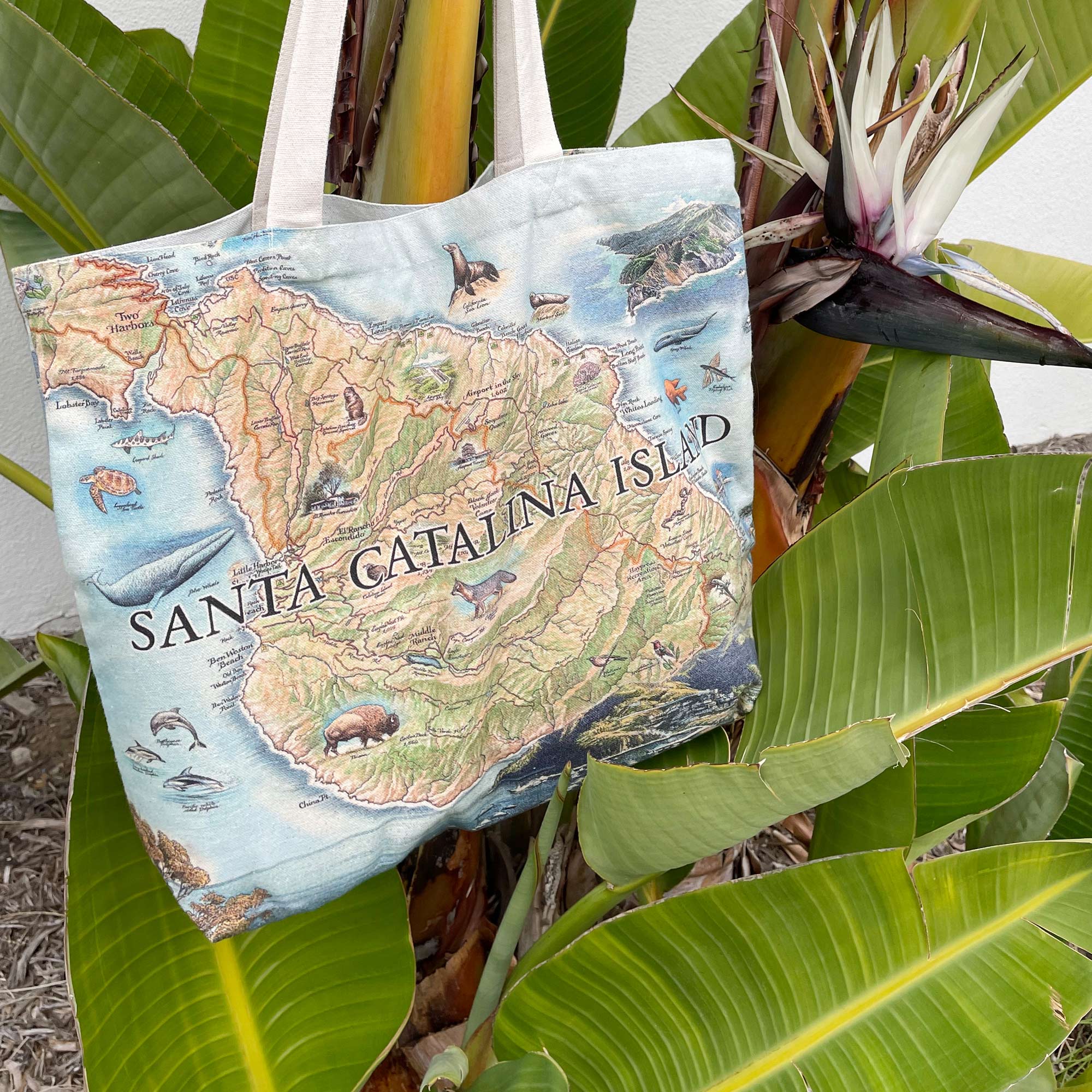 California's Santa Catalina Island canvas tote bag by Xplorer Maps. The Tote bag is hanging on a palm next to a bird of paradise. 