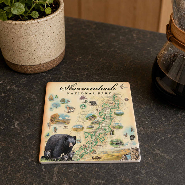 A square ceramic coaster featuring a detailed illustrated map of Shenandoah National Park with a black bear at the bottom, displayed on a dark stone countertop next to a potted plant and a coffee maker.