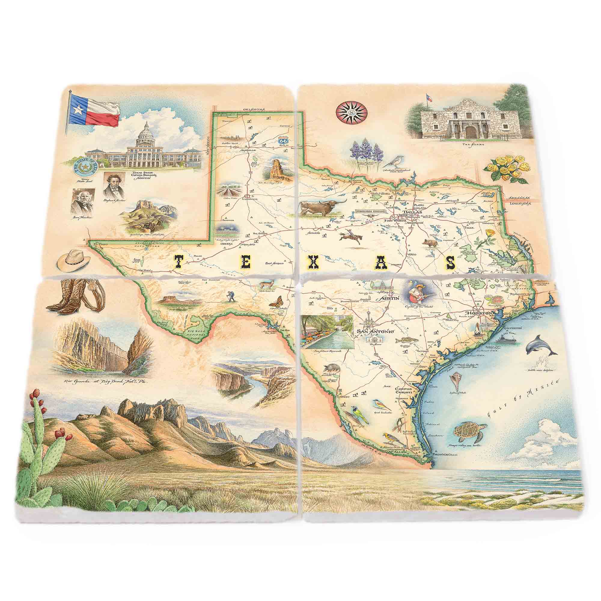 Texas State Map Natural Stone Coasters Set of 4 by Xplorer Maps, a set of four coasters forming the map of the Texas. Illustrations feature key landmarks such as the Alamo, San Antonio Riverwalk, and Guadalupe National Park. The set also includes depictions of local flora and fauna, showcasing Venus flytraps, longhorns, Monarch butterflies, and armadillos.