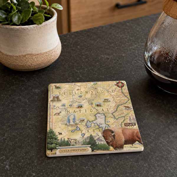 A square ceramic coaster featuring a vintage-style Yellowstone National Park map design with illustrations and a bison in the lower right corner, placed on a dark countertop next to a potted plant and a glass carafe.