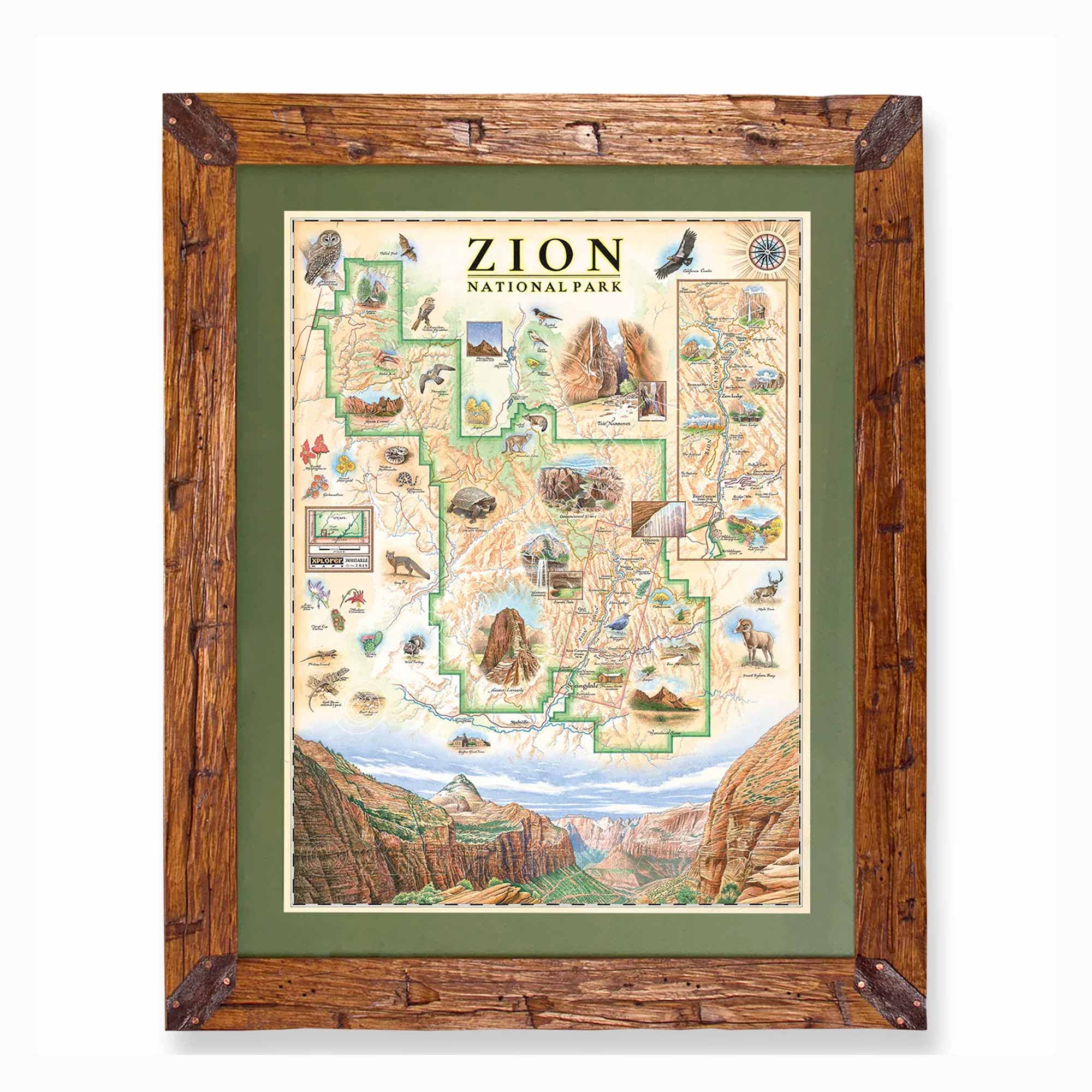 A framed illustrated map of Zion National Park, shown against a plain white background. The map features a cream-colored background with green outlined regions, detailed wildlife and geology illustrations, and a rustic brown wooden frame with dark metal corner brackets.