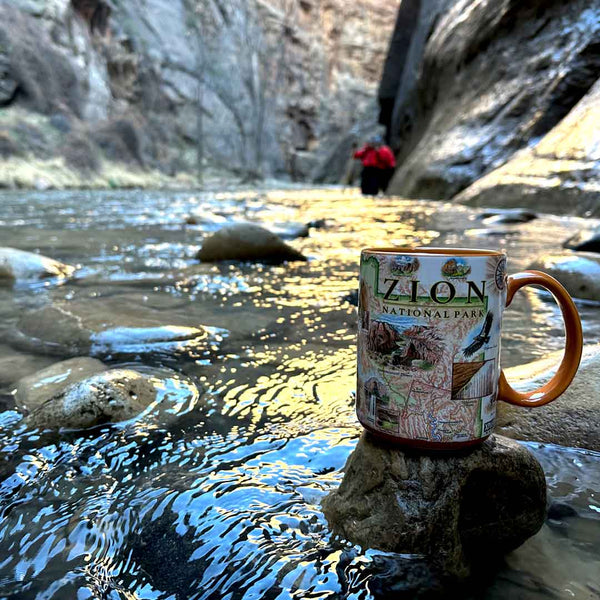 Orange 16 oz Zion National Park ceramic coffee mug sitting on a rock in the canyon river. 