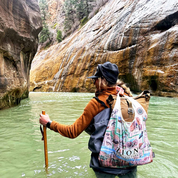 Zion National Park Map Pouch Tote Bag