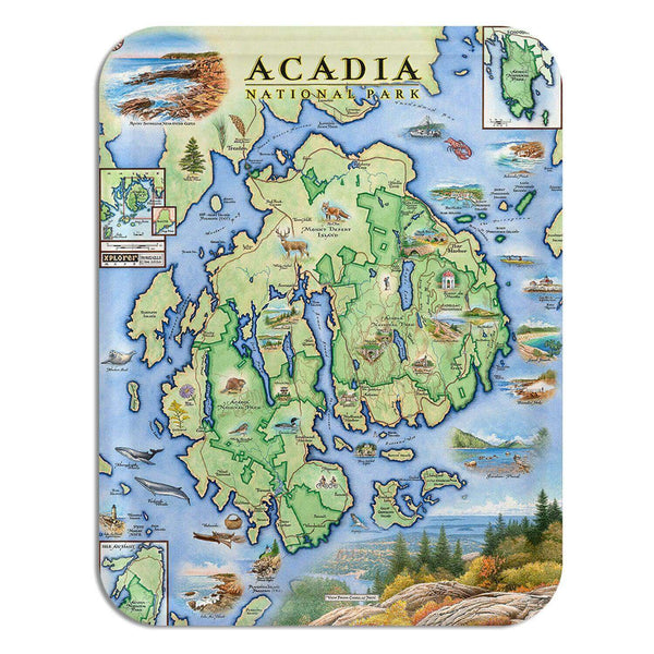 Acadia National Park Serving Tray