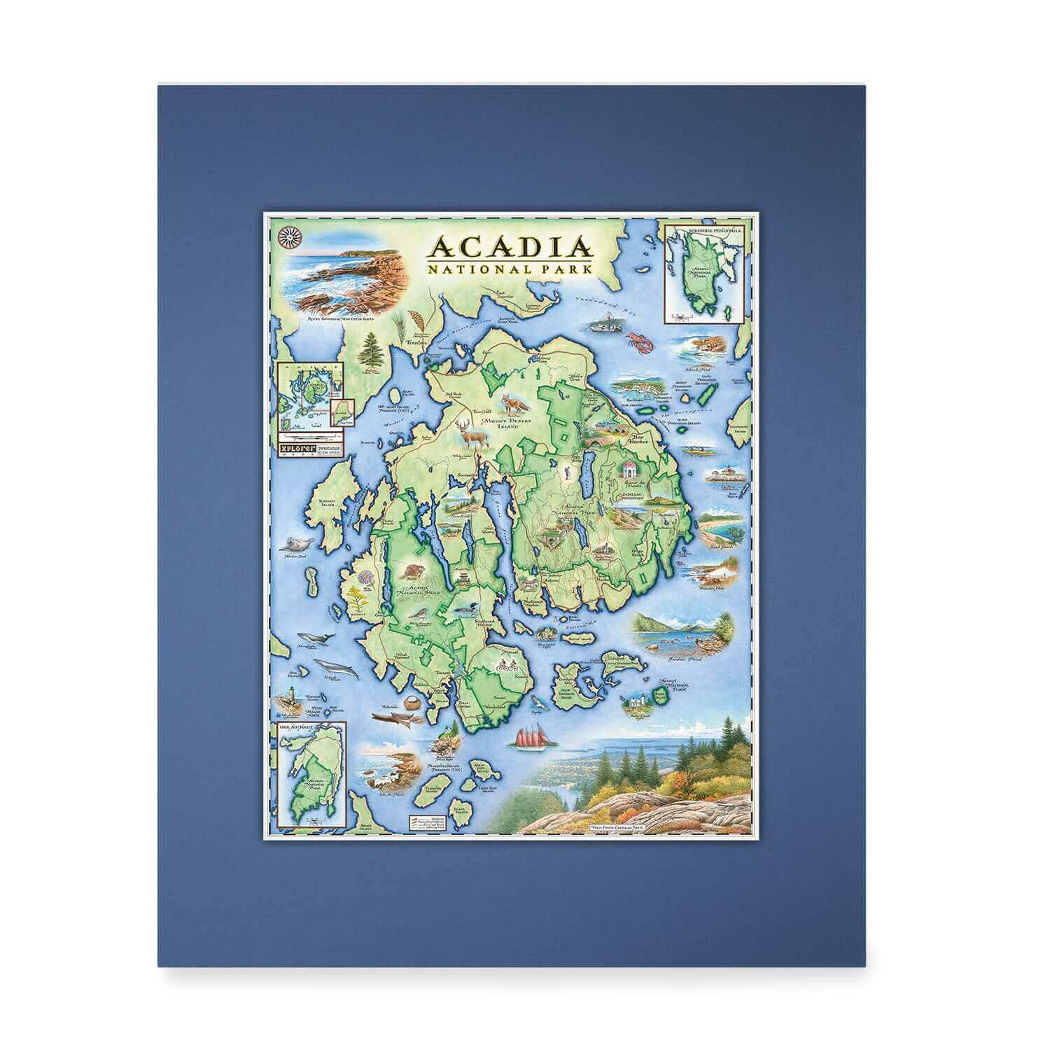 Acadia Mini-Map with a custom blue matte. Map features areas such as Bar Harbor, Waterfall Bridge, and Sieur de Monts Spring. Flora and fauna such as fox, lobster, and beaver.