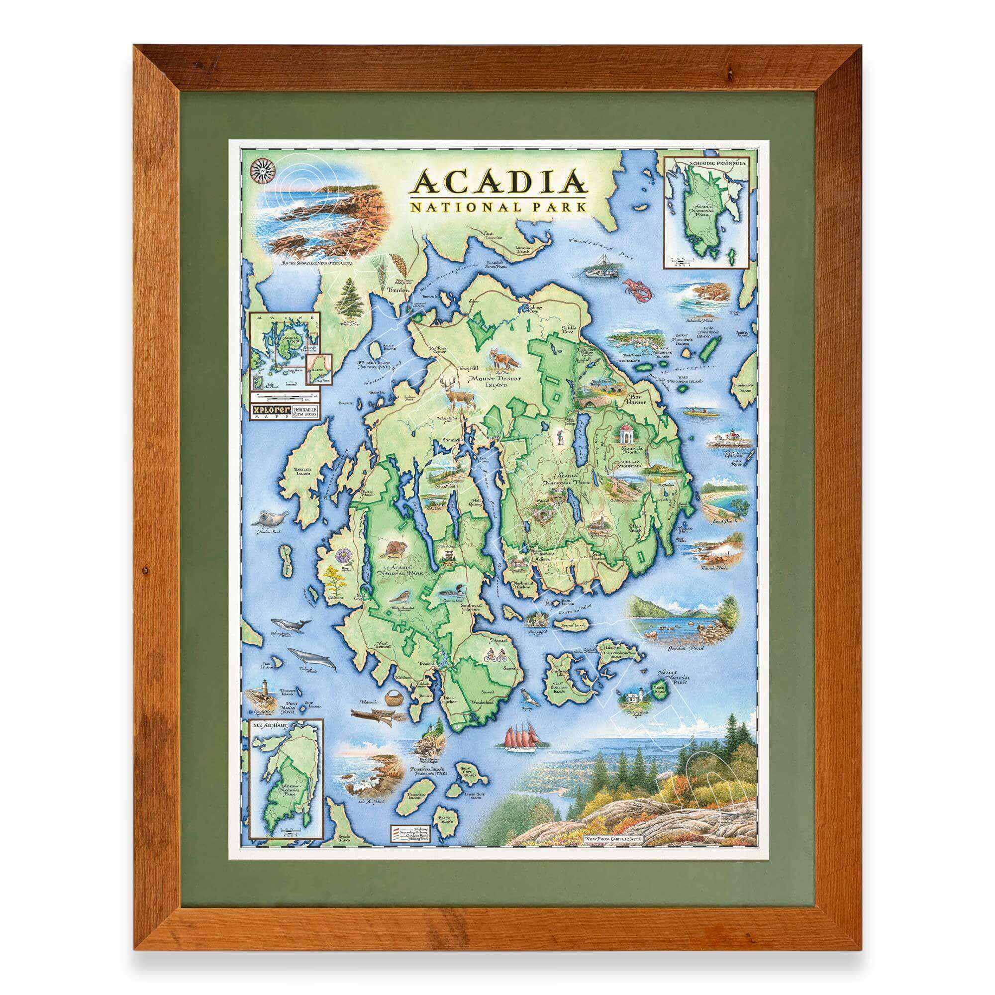Acadia National Park hand-drawn map in a Montana Flathead Lake reclaimed larch wood frame and green mat. 