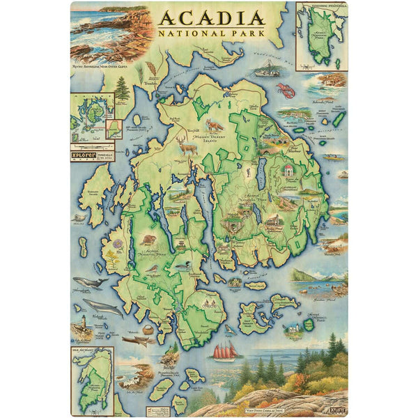 Acadia National Park Map wood signs are 15" by 10.5", Featuring Cadillac Mountains, Lobster, fishing boats, and Otter Cliffs. 
