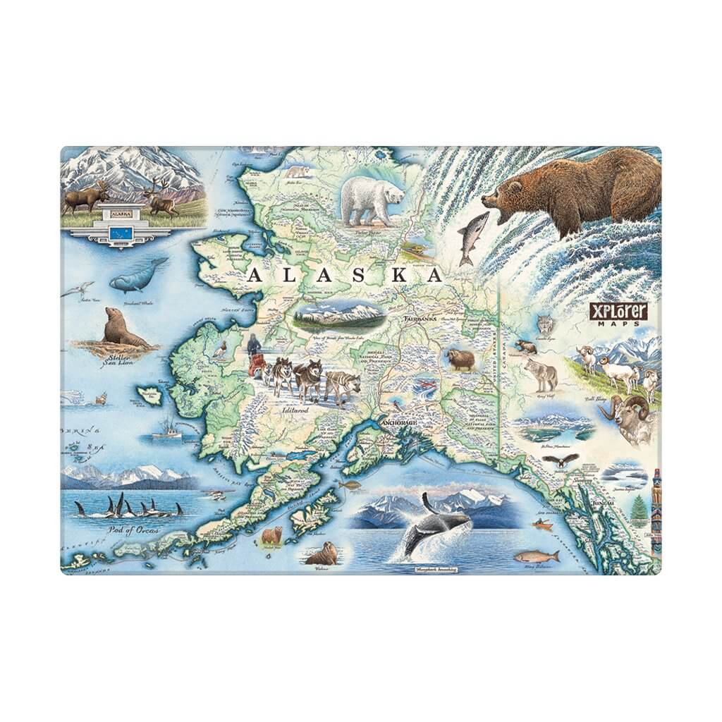 Alaska State Map Magnet with a grizzly bear. The map includes Denali National Park and cities such as Anchorage, Fairbanks, and Juneau. Illustrations of wildlife matching the region: Polar bears, arctic foxes, moose, caribou, Gray wolves, Dall Sheep, wolverines, Canadian Lynx, King Salmon, Halibut, King Crab, horned puffins, harbor seals, Arctic Tern, ptarmigan, walruses, Kodiak bears, musk ox, Bald Eagles, Mountain Goats and more.
