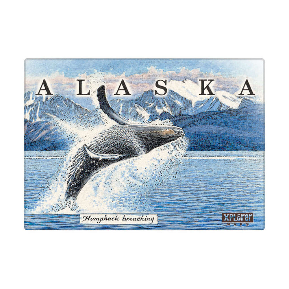 Alaska State Map Magnets