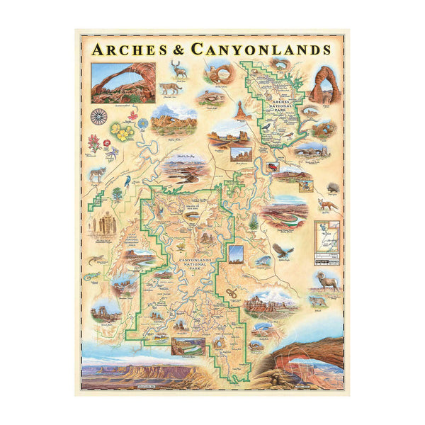 Arches & Canyonlands National Park Hand-Drawn Map in earth tones of browns, reds, golds, and yellows. Featuring fox, eagle, flowers, elk. The map also features illustrations of Mesa Arch, Delicate Arch, Balanced Rock, and many more. Print is 18x24.