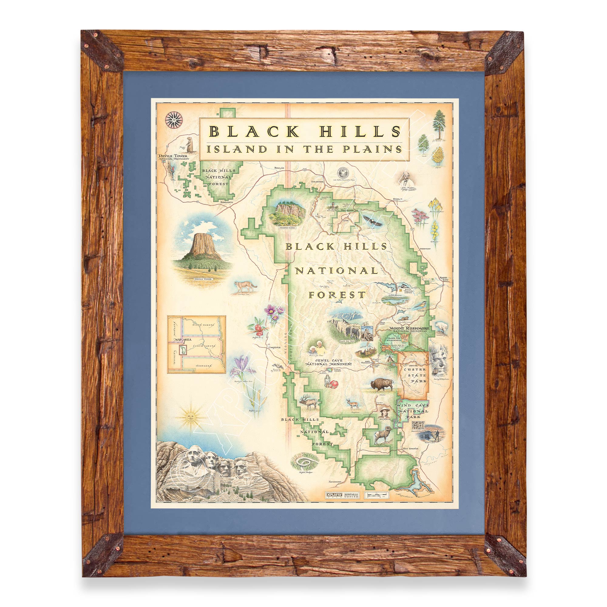 Black Hills National Forest hand-drawn map in a Montana hand-scraped pine wood frame with blue mat.