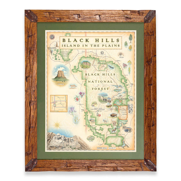 Black Hills National Forest hand-drawn map in a Montana hand-scraped pine wood frame with green mat.