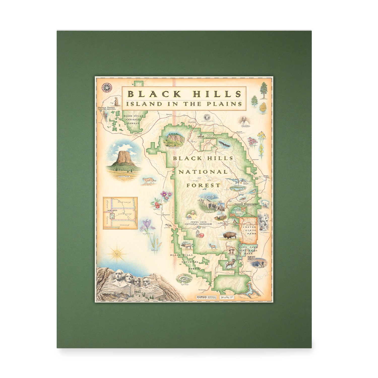 Green pre-matted Black Hills National Forest Mini-Map. The map features Mount Rushmore, Jewel Cave National Monument, Custer State Park, and Devil's Tower. The map also includes flora and fauna of areas such as Bison, Elk, Big Horn Sheep, Bald Eagle, Rocky Mountain Iris, and Buffalo Berries. 