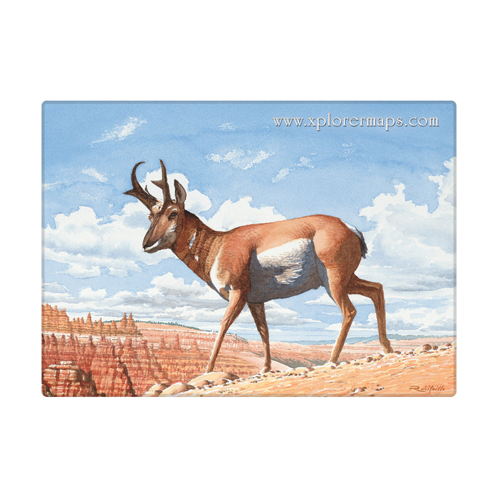 Bryce Canyon National Park Map Magnets